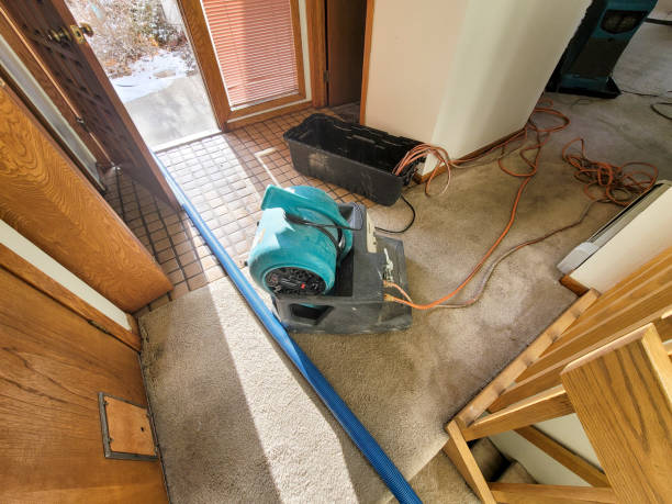 Best Flood restoration services  in Byram, CT