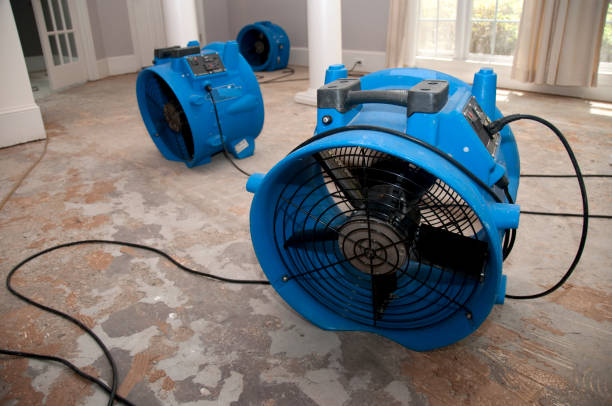 Best Emergency water damage restoration  in Byram, CT